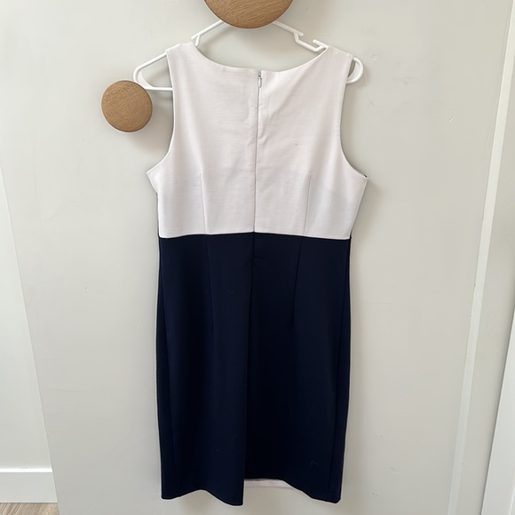 Sharagano Navy Blue and White Shift Dress with Gold Button Detail.Flattering Fit - Picture 7 of 9